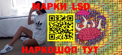 дмт Можга